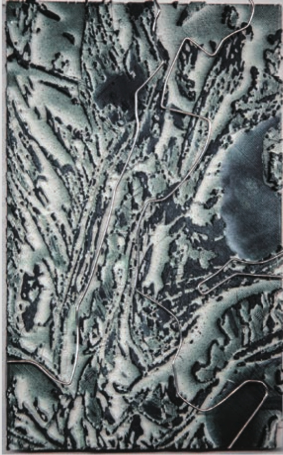 Monochrome physical texture experiment with a dense branching surface