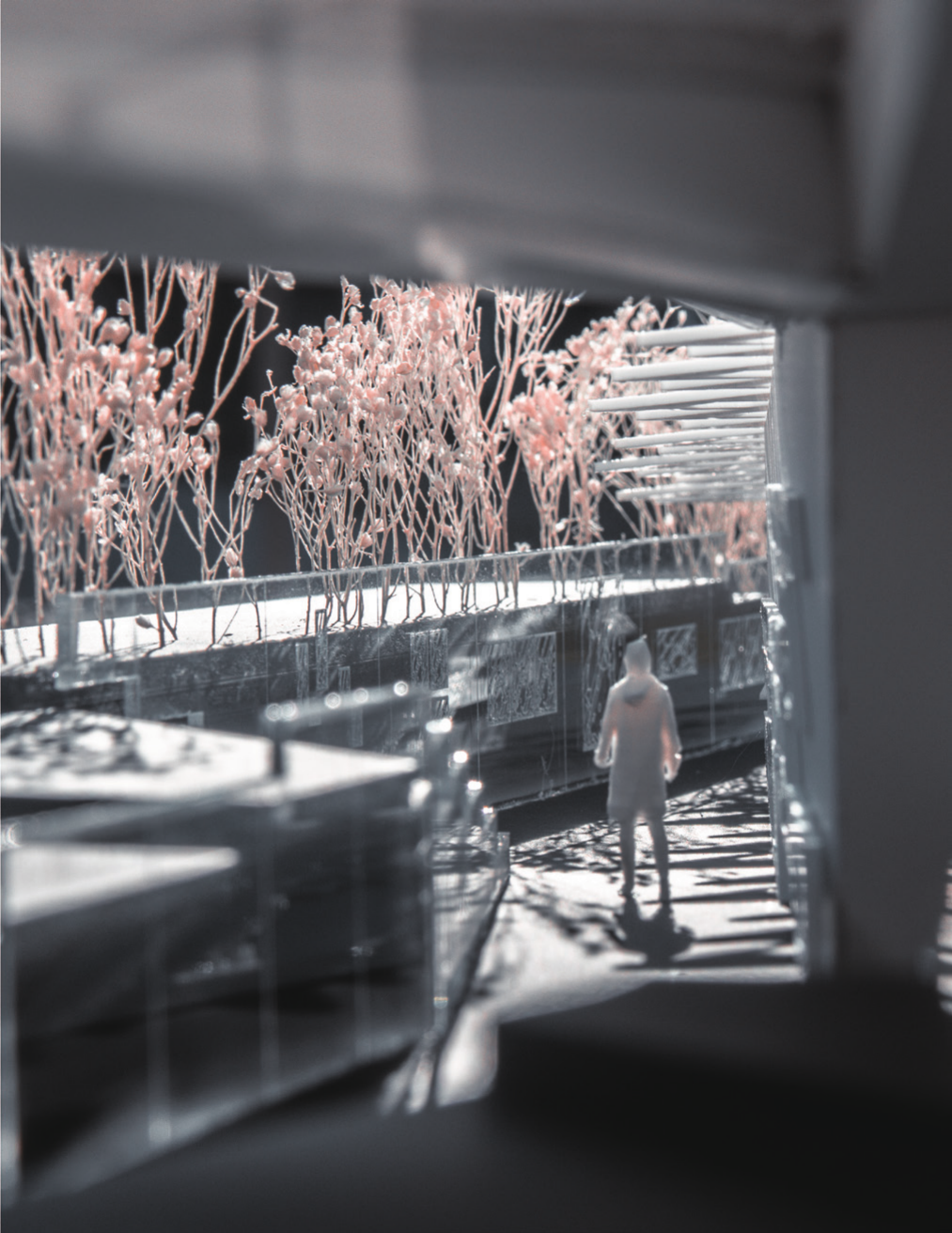 Outdoor gallery walk beneath flowering trees